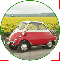 kermit_in_the_tulips