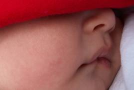 Not_interested_in_bugs