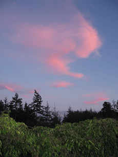 Sky_1