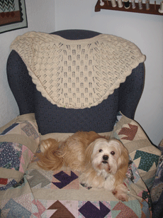 Shawl