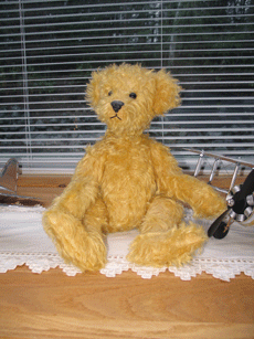 Teddy