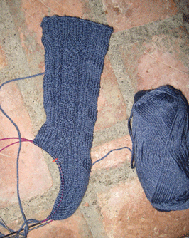Ganseysock