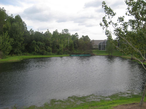 Pond