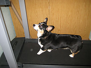 Treadmill