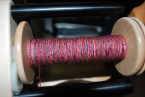 Polwarth2