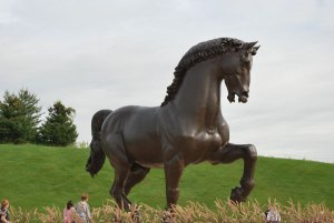 Horse