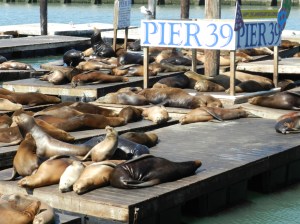 2012-09-25 00.01.50 2012-09-25 00.01.50