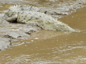 2012-10-03 00.26.22 2012-10-03 00.26.22