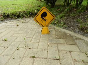 2012-10-02 20.28.53 2012-10-02 20.28.53