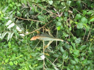 2012-10-02 09.56.12 2012-10-02 09.56.12