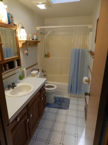 Bathroomremodel1